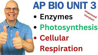 Crush AP Bio Unit 3 Enzymes Photosynthesis and Respiration [upl. by Ogirdor]