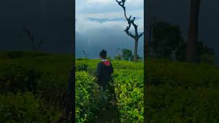 ooty  EXPLORE THE NATURE shortsfeed ooty nature rowdypolice3684 love tamil song [upl. by Ynohtn]