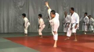 Sensei Kagawa Masao Curso Madrid2 [upl. by Roxanna]