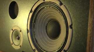 Speakers  Magnetism amp Sound [upl. by Ahseela]