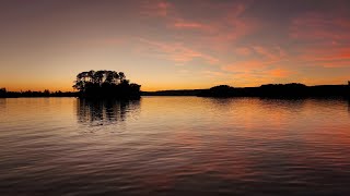 Live Lake Guntersville Bass fishing Nov 12 2024 [upl. by Malet]