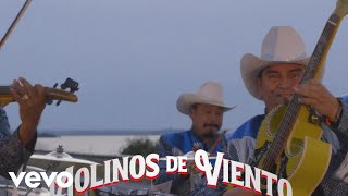 LOS LIRICOS JR  Molinos de viento Official Music Video [upl. by Agnew]