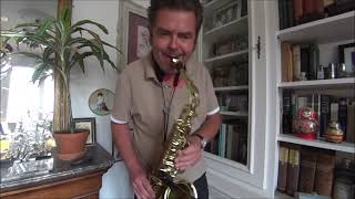 Dilemma  Nelly amp Kelly Rowland  Saxophone Cover [upl. by Tchao]