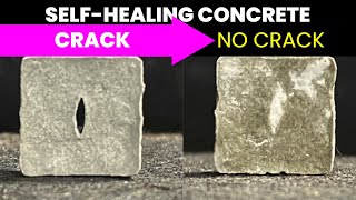 SelfHealing Concrete Fills Any Cracks That Form  Future Technology amp Science News 102 [upl. by Ssidnac]