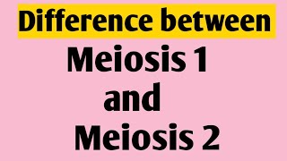 Meiosis  Difference Between Meiosis 1 and Meiosis 2  Cell Cycle [upl. by Starks]