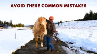 DONT MAKE THESE 5 MISTAKES WITH YOUR HORSE [upl. by Emylee]