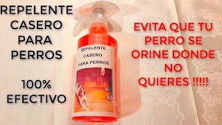 Como Evitar que tu perro se orine COMO HACER REPELENTE PARA PERROS CASERO Muy fácil y rápido [upl. by Pena194]