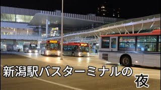 新潟駅バスターミナルの夜 [upl. by Bourgeois]