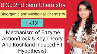 BSc2ndChemistry Mechanism of Enzyme ActionLock amp Key Theory And Koshland Induced Fit Hypothesis [upl. by Lissa]