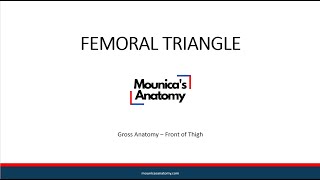 Gross Anatomy  Lower Limb  Femoral Triangle [upl. by Talbot612]