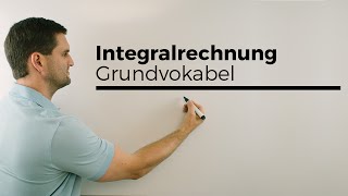 Integralrechnung Grundvokabel Hauptsatz Flächenberechnung  Mathe by Daniel Jung [upl. by Akenit]