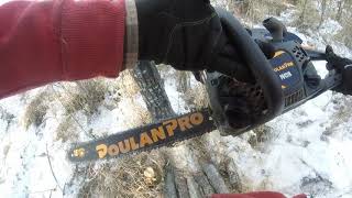 Cutting Firewood with Poulan PR4218 chainsaw Canada chainsaw [upl. by Eelrehpotsirhc939]