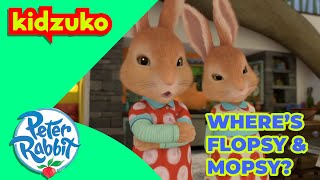 OfficialPeterRabbit  🔎👀 Can You Find Flopsy amp Mopsy 👀🔎  Kidzuko [upl. by Eilsek]