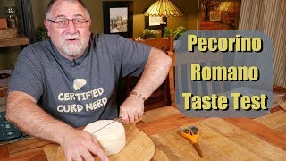 Pecorino Romano Taste Test [upl. by Anig984]