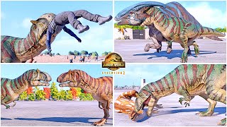 Metriacanthosaurus All Perfect Animations amp Interactions 🦖 Jurassic World Evolution 2 [upl. by Eiramait]