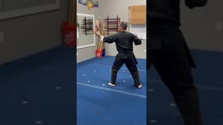 Push and pull the palms martialarts taichi taijiquan kungfu pushpalms [upl. by Kcira]