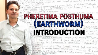 Pheretima Posthuma Earthworm  Introduction  For IASNEETGATENET and BSc [upl. by Landis]