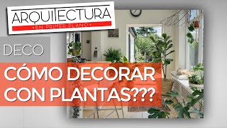 ¿COMO DECORAR CON PLANTAS DE INTERIORES  DECO  AMBIENTACIÓN [upl. by Elcin]