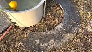 Livestock freeze proof water tank [upl. by Inaoj]