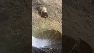 One of many spiral staircases at Carnasserie Castle nr Kilmartin Argyll Scotland castle Scotland [upl. by Mercer136]