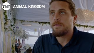 Animal Kingdom Treasure  Season 2 Ep 10 PROMO  TNT [upl. by Maddie]