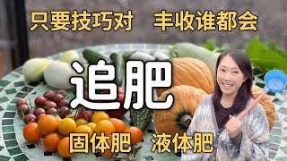 【种植80】追肥｜施肥有技巧，人人都丰收，有机种菜怎么施肥 How to fertilising organic vegetables and fruits [upl. by Rosecan]