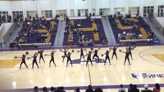 Honeybees dance team HHS halftime Pom dance [upl. by Darrel]