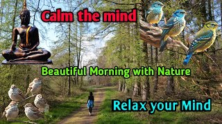 Relaxing Music with Birds Singing । bird sound for meditation । meditation bird sounds [upl. by Caylor]