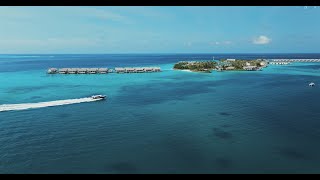 The Premium Speedboat Transfer to Hilton Maldives Amingiri [upl. by Ayikat]