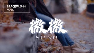 微微 Wei Wei  傅如乔 Fu Ru Qiao 拼音 PINYIN LYRICS [upl. by Eenar]