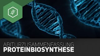 Proteinbiosynthese  Komplette Zusammenfassung fürs BioAbi [upl. by Arymas251]