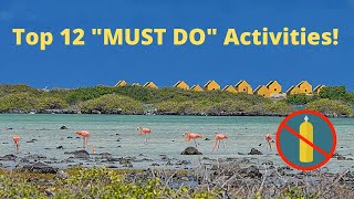 Top 12 quotMUST DOquot Activities on Bonaire  Other Than Scuba Diving [upl. by Osber]