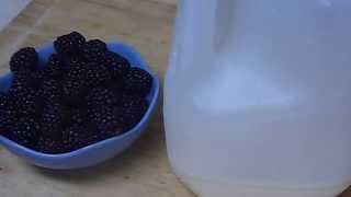 quotHow to Have Beautiful Skin with Moisturizing Freshening Blackberry Homemade Face Mask Recipequot [upl. by Madox383]