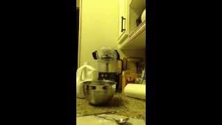 Easy Irish Scone recipe Video Southern version [upl. by Pieter]