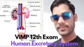 Human Excretory System Anchal sir ki class Geetika chemistry classes [upl. by Mittel]