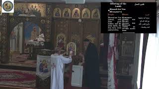 St George Coptic Orthodox Church in Maryland Live Stream [upl. by Lanor]