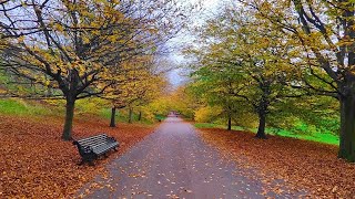 1h Walk through Greenwich Park in November  Relaxing Nature Walk in London [upl. by Ontine]