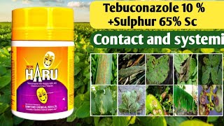 Tebuconazole 10   Sulphur 65 Sc wg Haru Fungicides SumitomoContact Fungicide  फफूंदीनाशक [upl. by Janina]