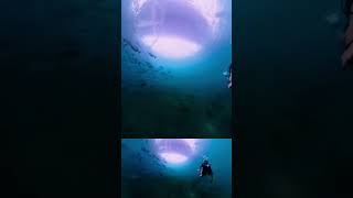 Diving under Bridge with large school of fish scubadiving diving scubadive [upl. by Kellyann]