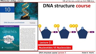 The difference between nucleotide and nucleoside  about phosphodiester bond  DNA structure course [upl. by Robbie244]