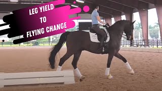 Leg Yield To Flying Changes In Dressage With Charlotte Bredahl [upl. by Ruperto]