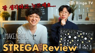 Ringo TV 잘 생각하고 누르세요 Make Noise Strega Review [upl. by Baniez234]