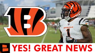 Cincinnati Bengals Get GREAT News Before NFL Week 1 [upl. by Anirbys901]