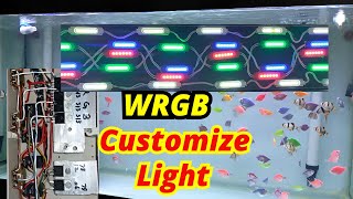 DIY customize WRGB aquarium light  Fish Tank light  DIY Aquarium WRGB Light  umair saeed  Urdu [upl. by Tugman]