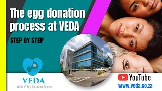 EGG DONATION AGENCY PROCESS  VEDA  VITALAB [upl. by Draillih]