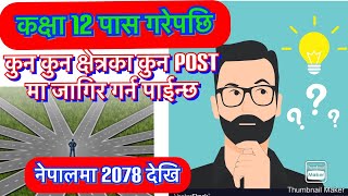 which post is eligible after class 12 in Nepal  कक्षा १२ पछि के गर्ने  sunlight tv Nepal [upl. by Arakaj]