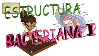 Estructura de una celula bacteriana I [upl. by Odnamla]