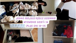 WYZWANIE DZIEŃ 14 Jedno miejscerzecz dziennie Posprzątaj ze mną Uporządkowana [upl. by Yema543]