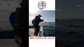 ヒラマサジギング！浅場でヒットすると… 釣り fishing ジギング [upl. by Keefer]