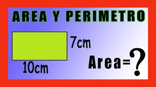 ✅👉 Area y Perimetro de un Rectangulo ✅ Area de un Rectangulo [upl. by Eimma]